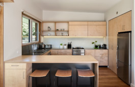 Wanaka Architect