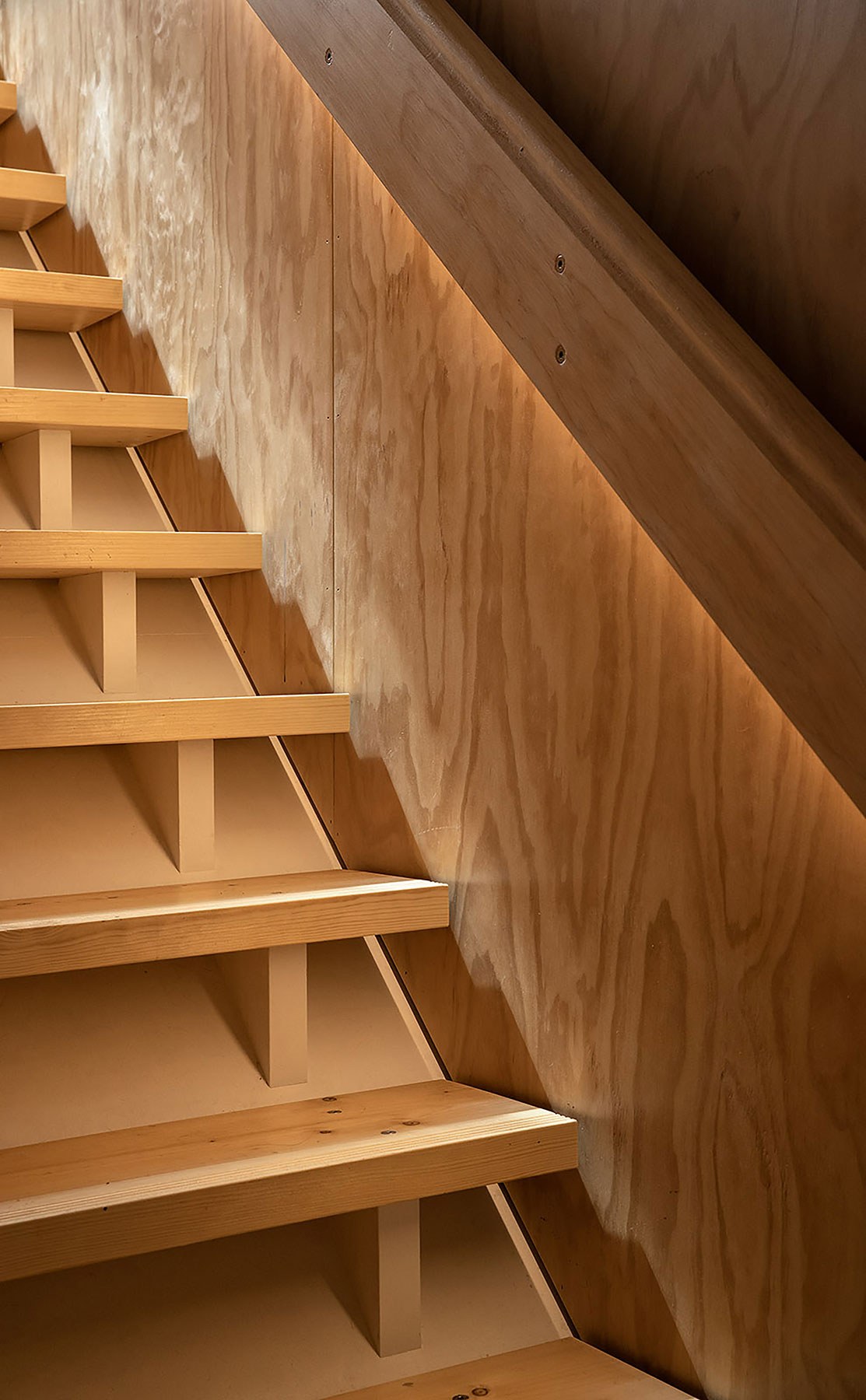 Rafe Maclean 
Architects Kōwhai House