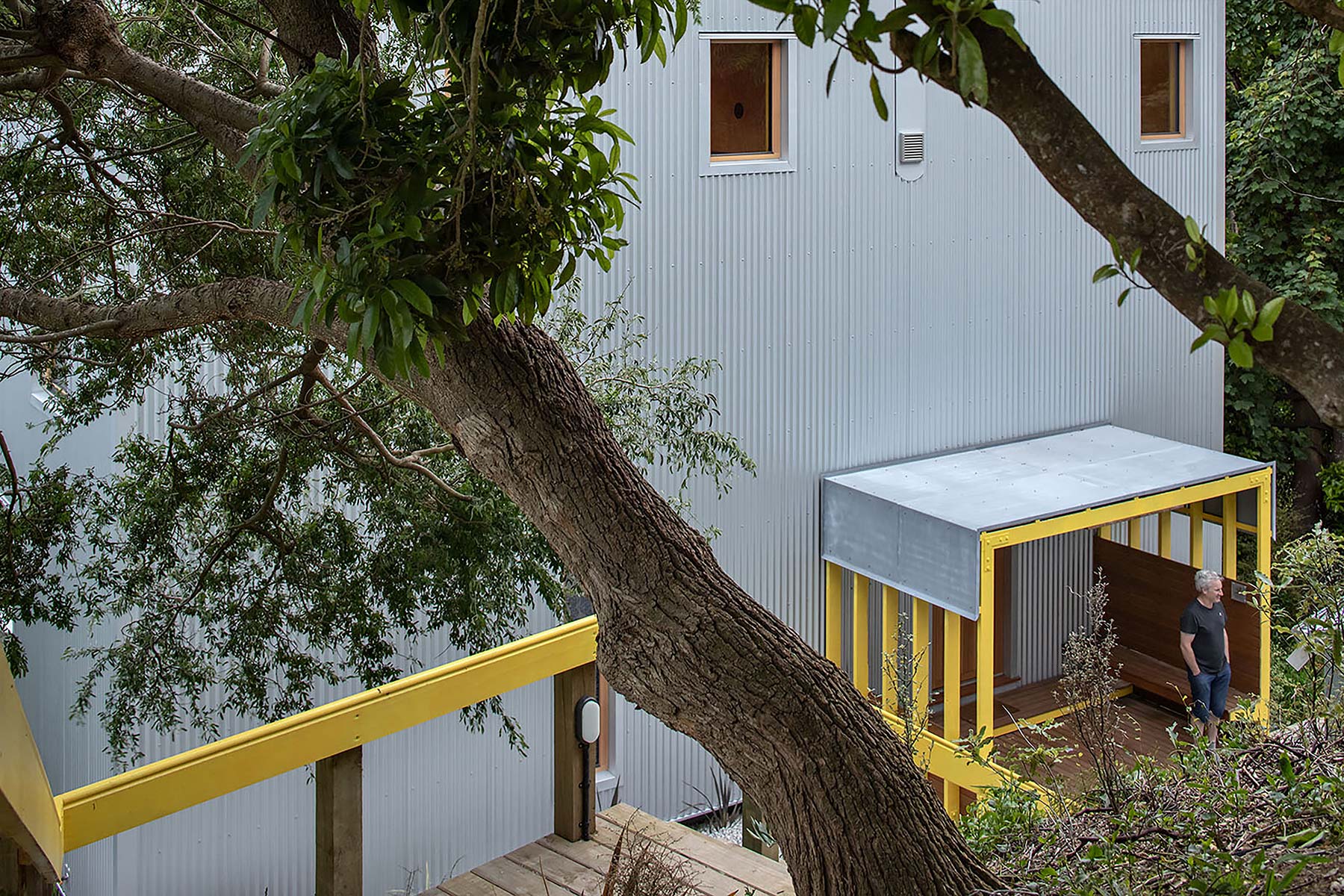 Rafe Maclean 
Architects Kōwhai House