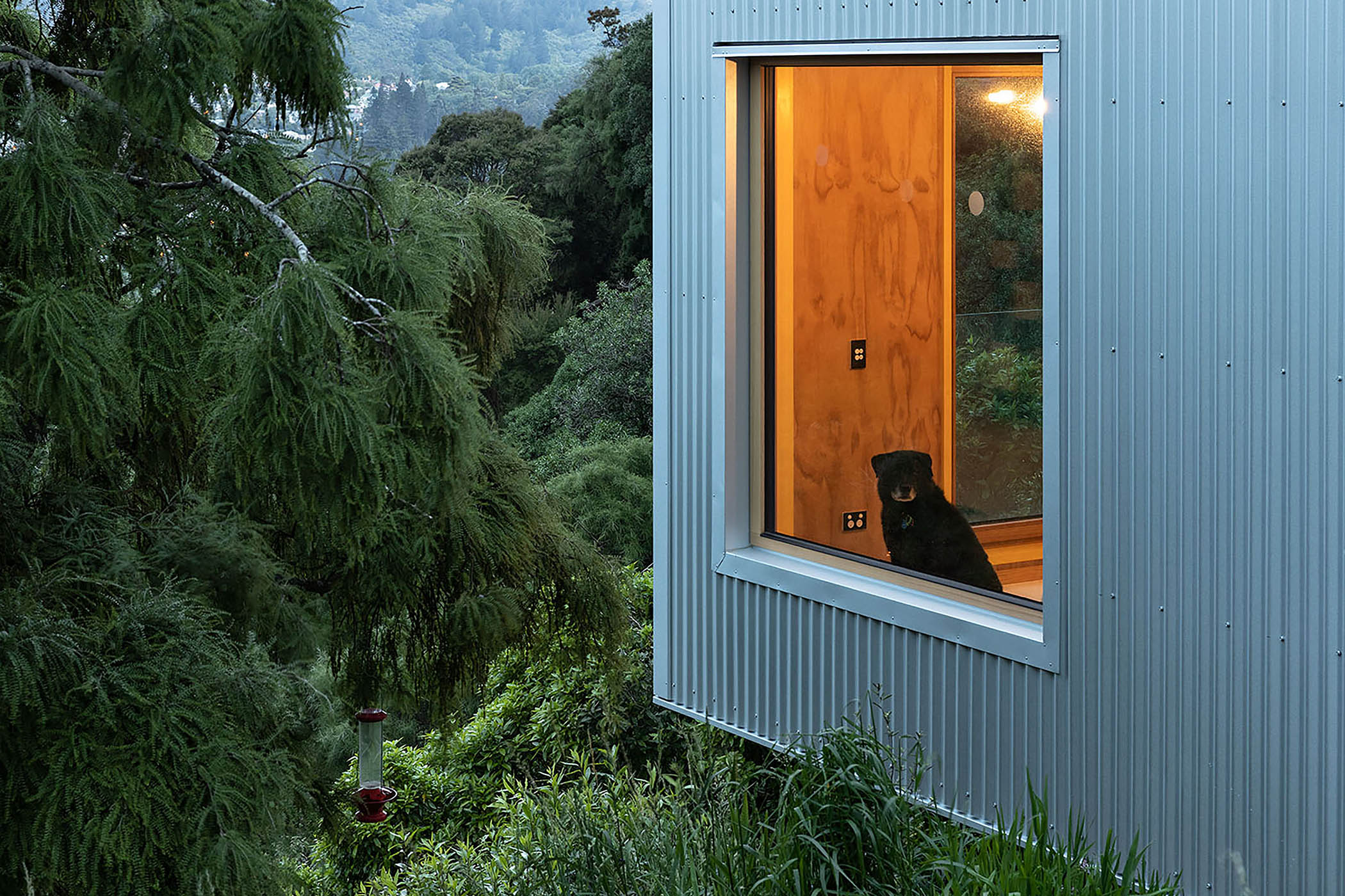 Rafe Maclean 
Architects Kōwhai House