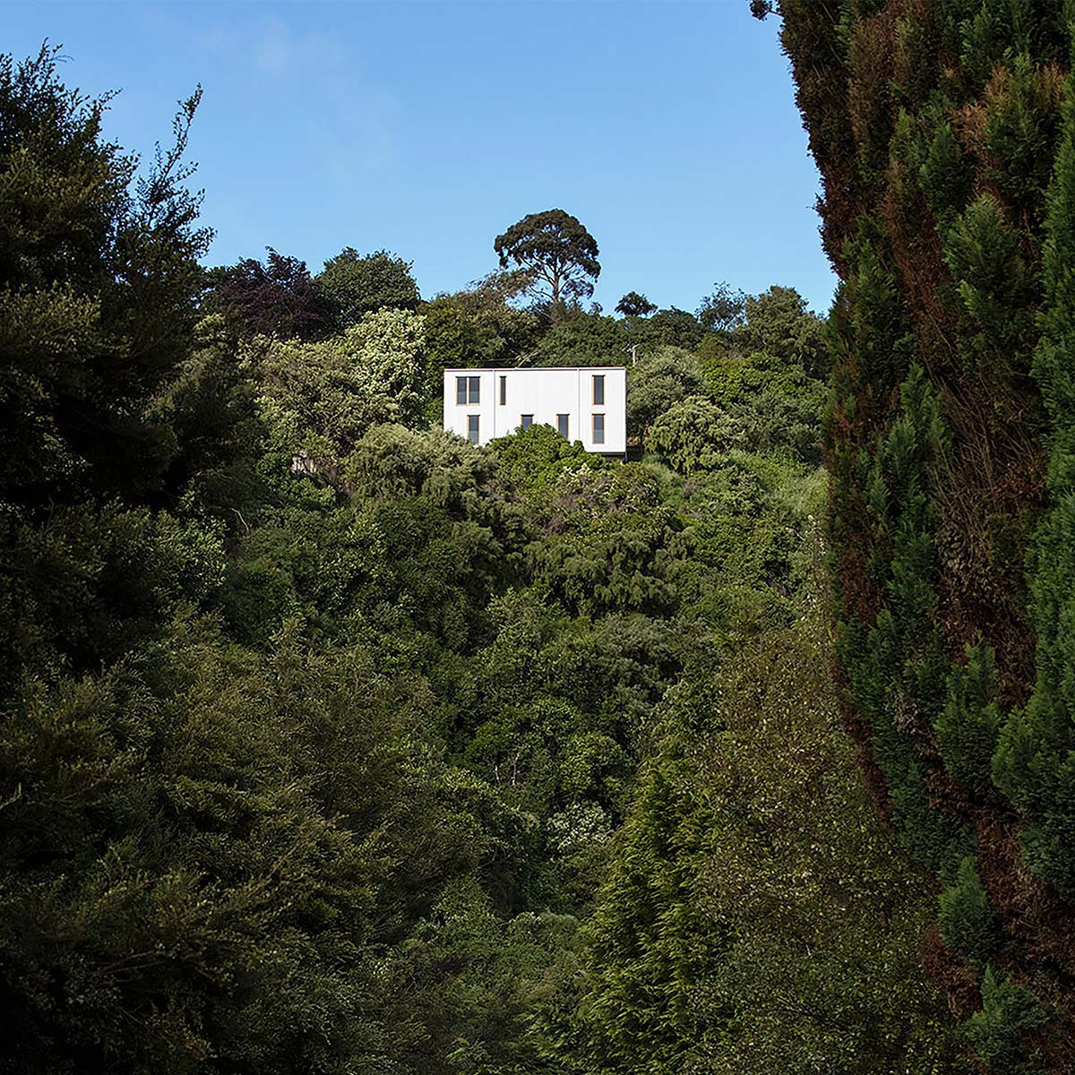 Rafe Maclean 
Architects Kōwhai House