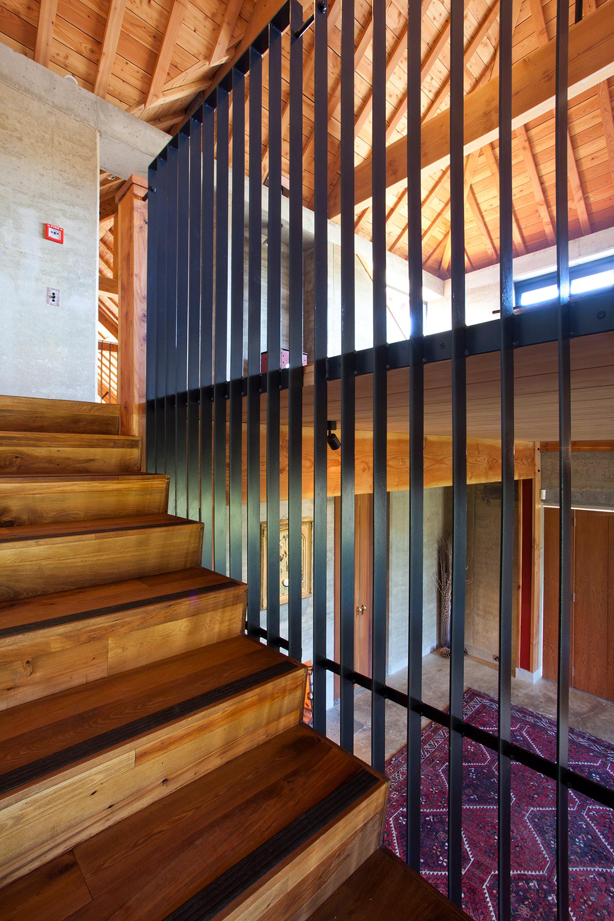 Rafe Maclean 
Architects Rippon Hall