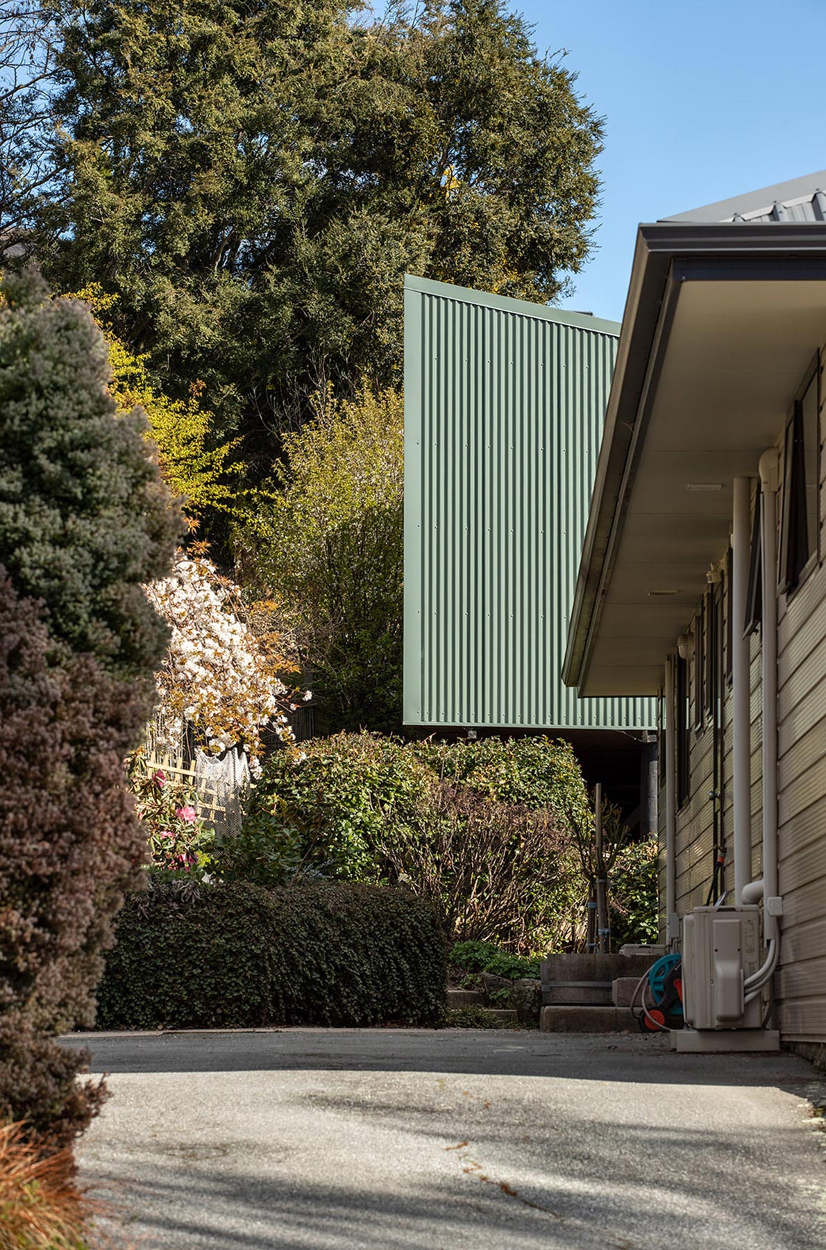 Rafe Maclean 
Architects Te Kea
