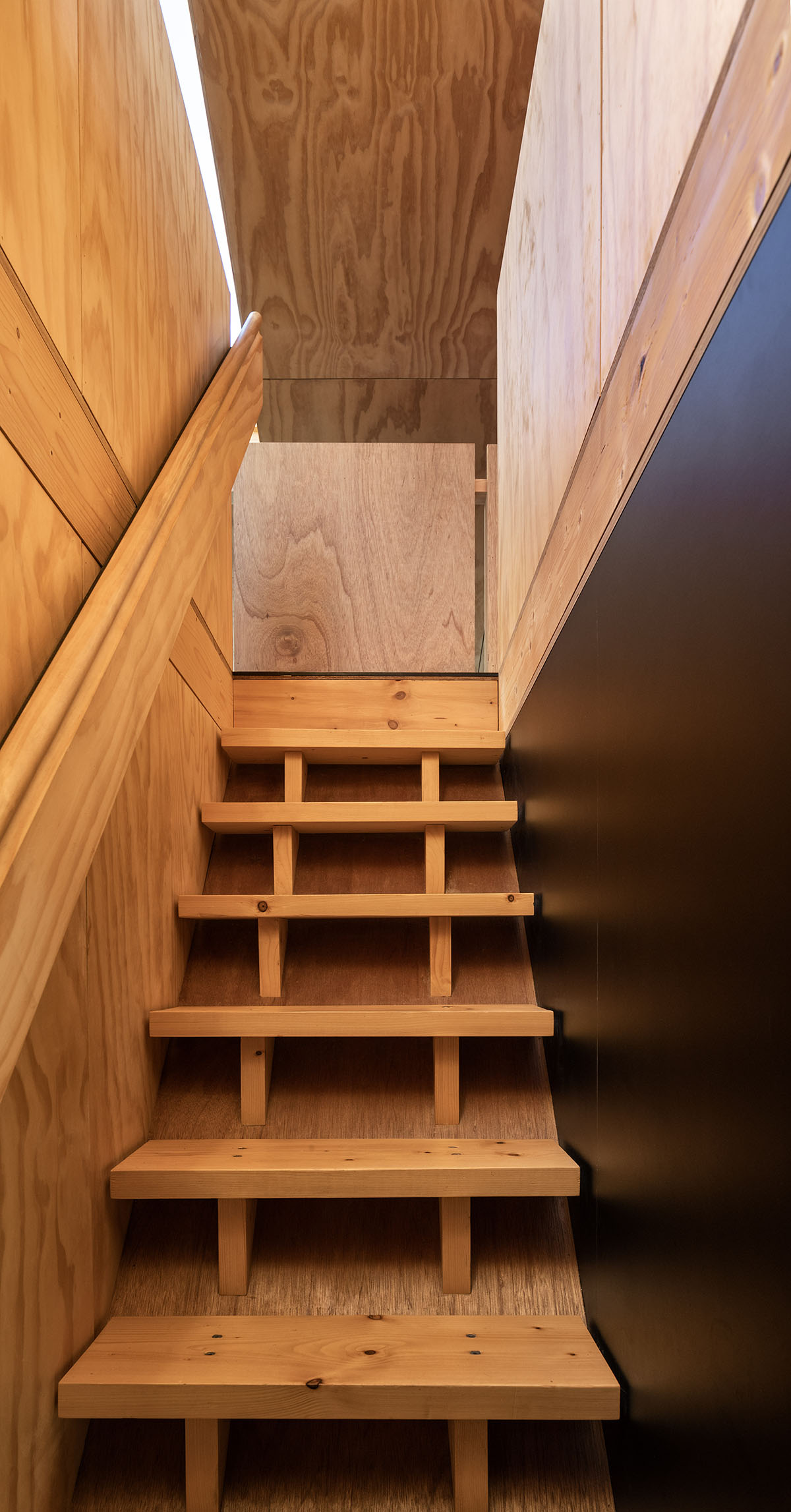 Rafe Maclean 
Architects Long Grass House